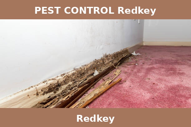 PEST CONTROL Redkey